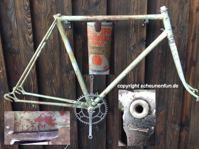 diamant-berufsfahrer-modell-67